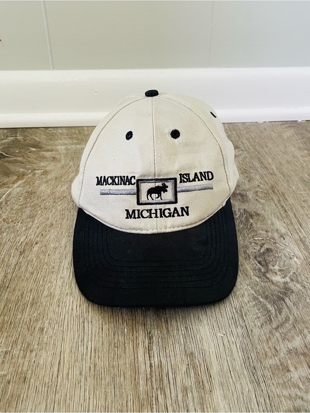 Vintage J. H. Eaton Mackinac Island Michigan Trucker Baseball Cap Adjustable